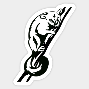 Common Brushtail Possum Retro Sticker